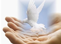 wp-content/uploads/2011/09/humanity.jpg